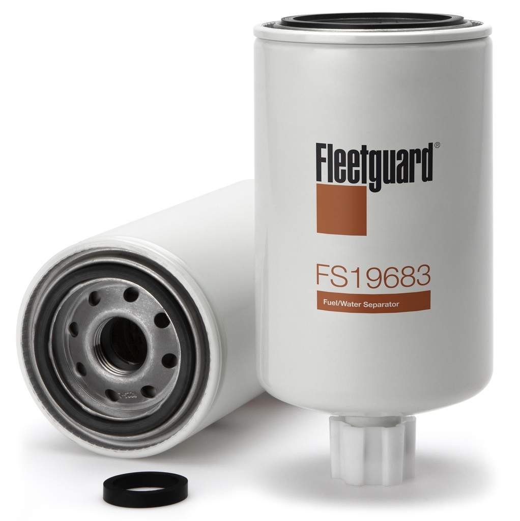 FS19683