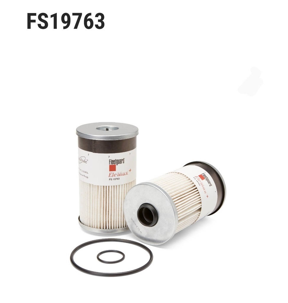 FS19763