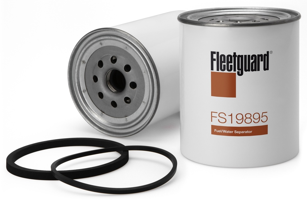 FS19895