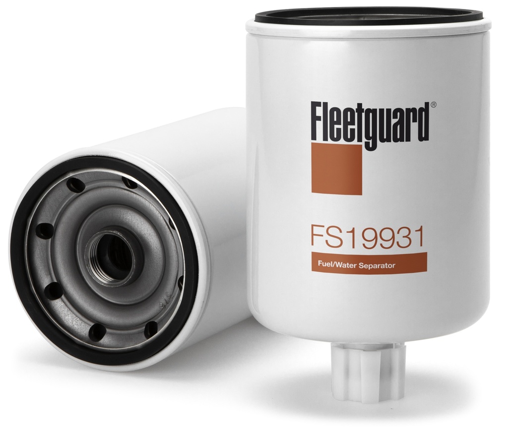 FS19931