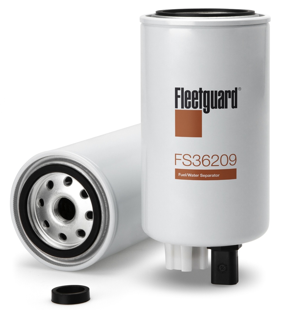 FS36209
