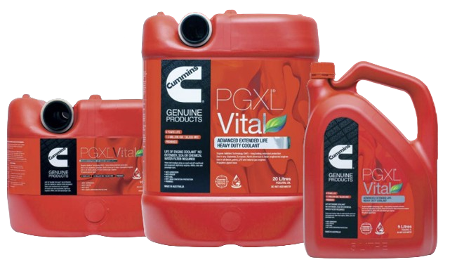 PGXLVITAL-10L