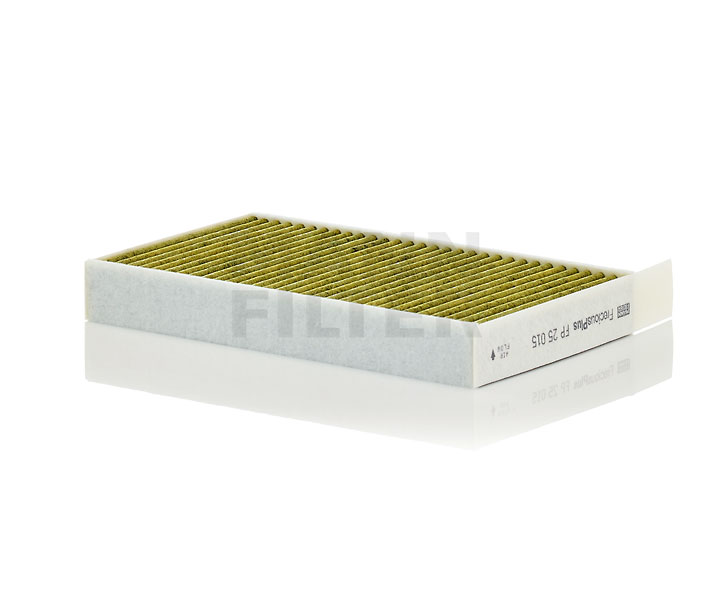 FP25015