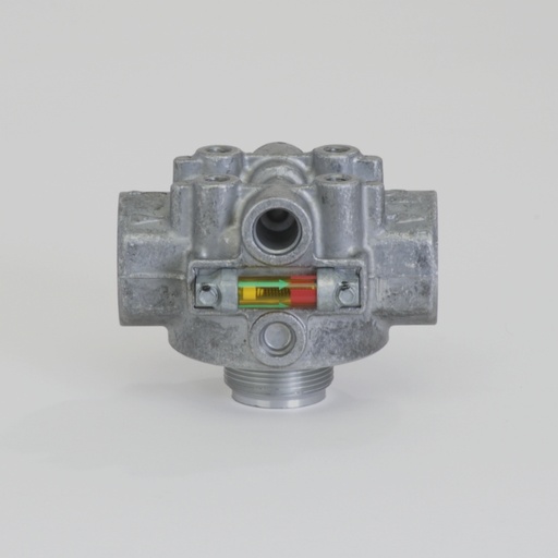 P166663