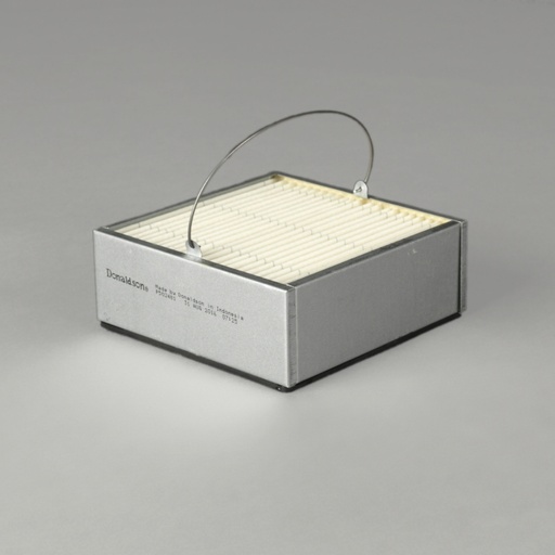 P502481