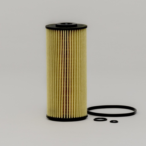 P502597