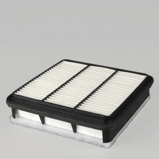 P506010