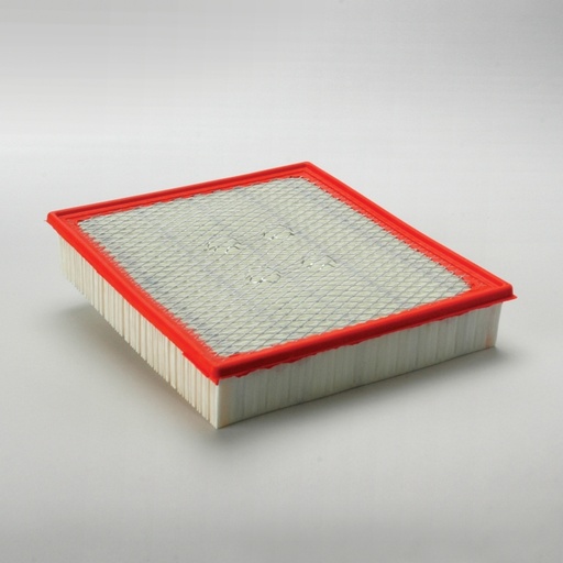 P536429