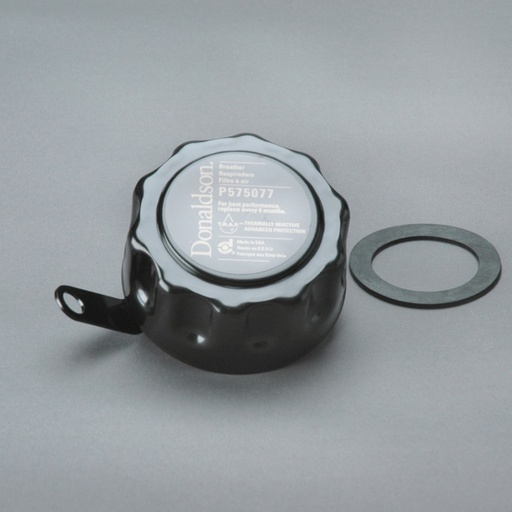 P575077