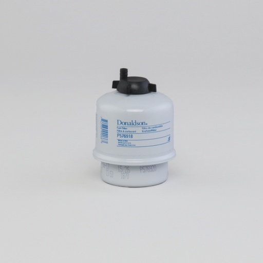 P576918