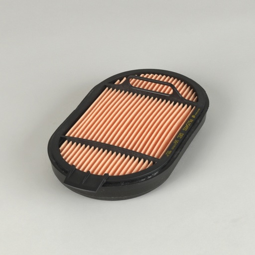 P615493