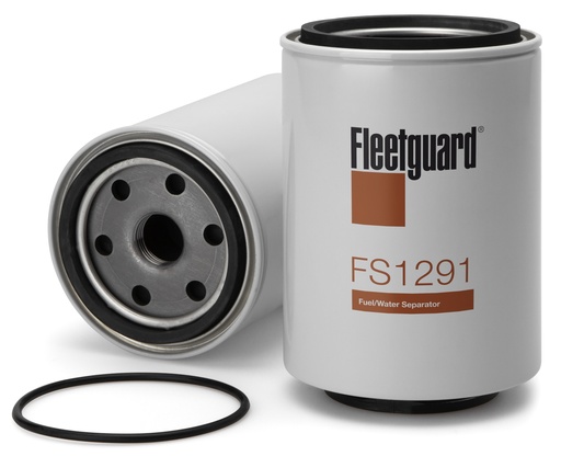FS1291