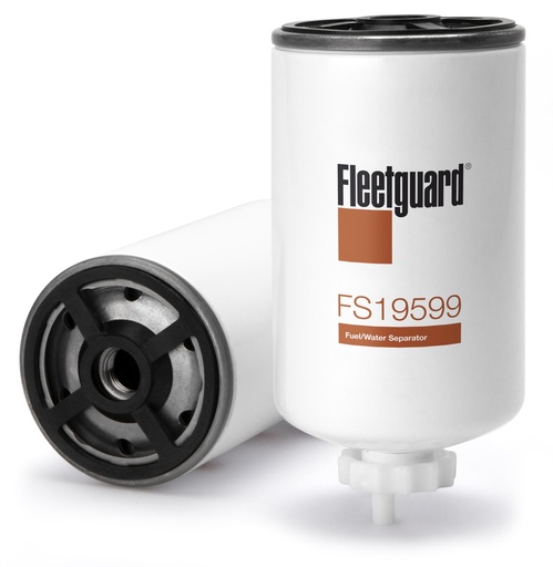 FS19599