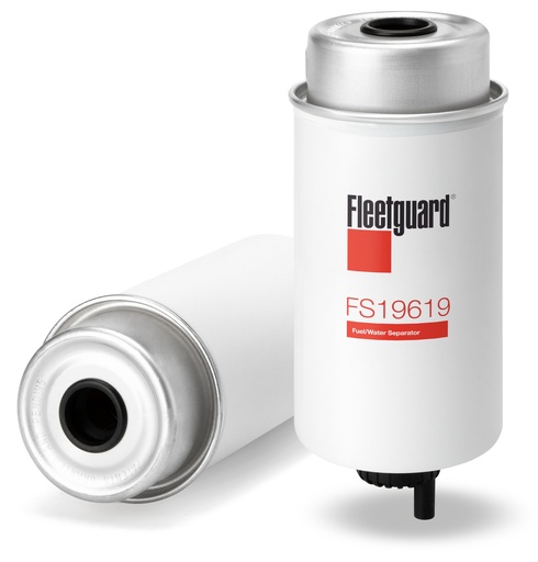 FS19619