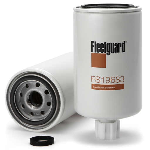FS19683