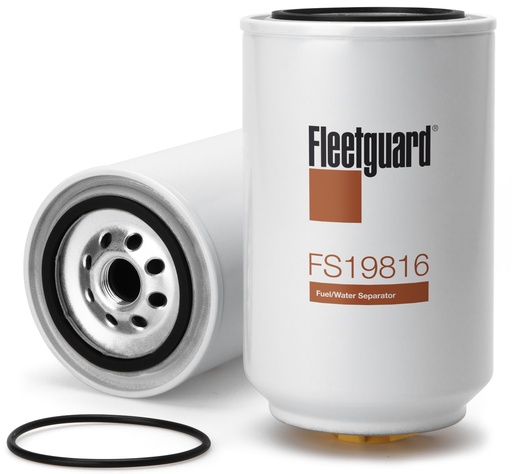 FS19816