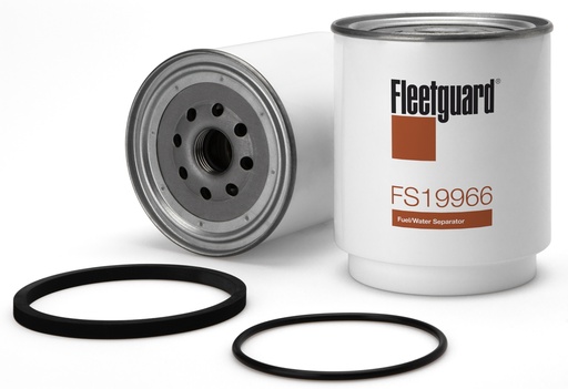 FS19966