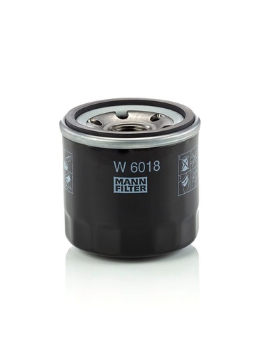 W6018