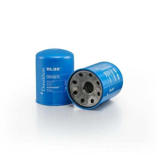DBH5875