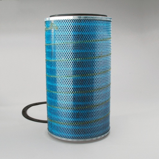 DBA5008