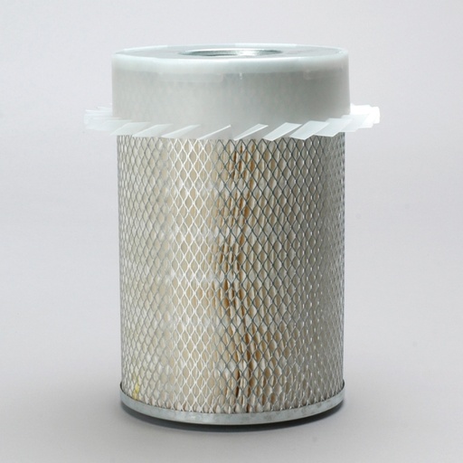P101038