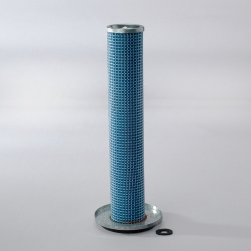 P139293